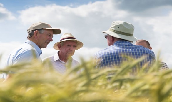 Cereal plot with four farmers talking